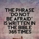 Pam Carrell Nichols - @pammienich - Instagram