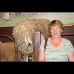 Pam Carruthers - @pcarruthers1 - Instagram