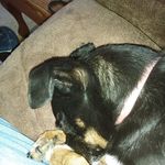 Pam Phillips Carruthers - @pamphillipscarruthers - Instagram