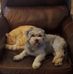 Pam Carter - Facebook