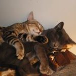 Pam Cartwright Smith - @pam.cartwright4318 - Instagram