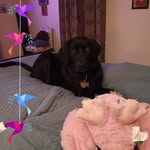 Pam Carty - @pam.carty.58 - Instagram