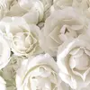 PamelaMccarty - @winfimgp4mf - TikTok