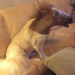 Pam Casey - @pam.casey.3133 - Instagram