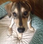 Pam Foster Cason - Facebook