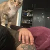 Pam Cass - @pamela.cast12 - TikTok
