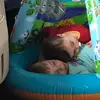 Pam Castleberry Lingner - @pam.castleberry.l - TikTok