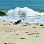 Pam Caswell - @wellcaspa - Instagram