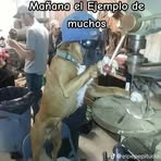 Pam Chacon - Facebook