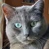 Pam Chalmers - @pchalmers - TikTok