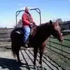 Pam Chaney - @pam.chaney - TikTok
