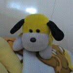 張雅萍 - @pam_chang1984 - Instagram