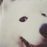 Pam Chang - @pam.chang.315 - Instagram