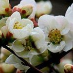 pam chang - @pam19771003 - Instagram