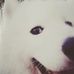 Pam Chang - Facebook