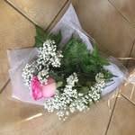 Pam Chang - @pchang2032 - Instagram
