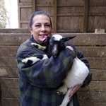 Pam Charles - @pamcharles40 - Instagram