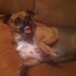 Bob-Pam Cheney - @bobpamcheney - Instagram