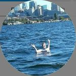 Pam Cheney - @pamc.heney - Instagram