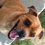 Pamela Cheney - @pamcheney06 - Instagram