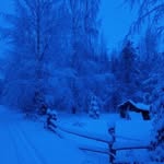 Pam Christopherson - @christopherson_pam - Instagram