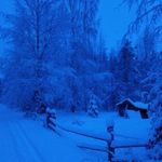 Pam Christopherson - @christopherson_pam - Instagram