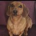 Pam Clarke - Facebook