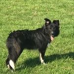 Pam Clarke - @pamclarke9582 - Instagram