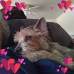 Pam Clawson - @pkclawson - Instagram