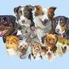 Pam Clawson - @pam.clawson - TikTok