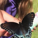 Pam Clawson - @pjclawson7072 - Instagram
