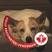 Pam Cleary - Facebook
