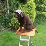 @pamcleary1st - Instagram