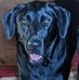Pam Clift - Facebook