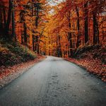 Pam Cobb - @pamelacobb64 - Instagram