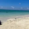 Pamela - @pamcobb1 - TikTok