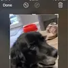 pamcoleman17 - @pamcoleman17 - TikTok