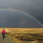 Pam Collinson - @pamcollinson - Instagram