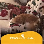 Pam Combs - @combspam - Instagram