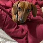 Pam Combs - @pcombs.76524 - Instagram