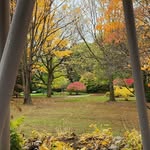 Pam Combs Arnold - @lalas.land.07 - Instagram