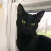 Pam McCombs - @pam.mccombs - TikTok