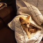 Pam Conrad - @pam.conrad.545 - Instagram