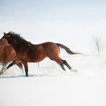 pam cooley - @pcfotos1216 - Instagram