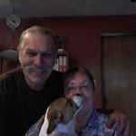 Pam Corey - @pamelacorey58 - Instagram