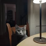 Pam Yeager - @pamcrideryeager - Instagram