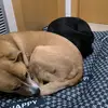 crispalpam - @crispalpam - TikTok