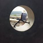 Pam Crisp - @crisp.pam - Instagram