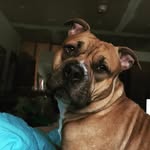 Pam Culver - @pamelasiem - Instagram