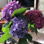 Pamela Culver - @pamela.culver.3 - Instagram